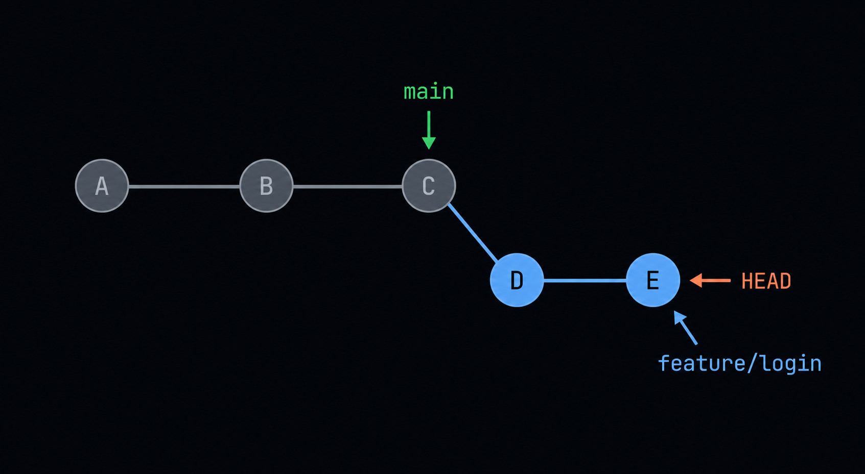 Branch
